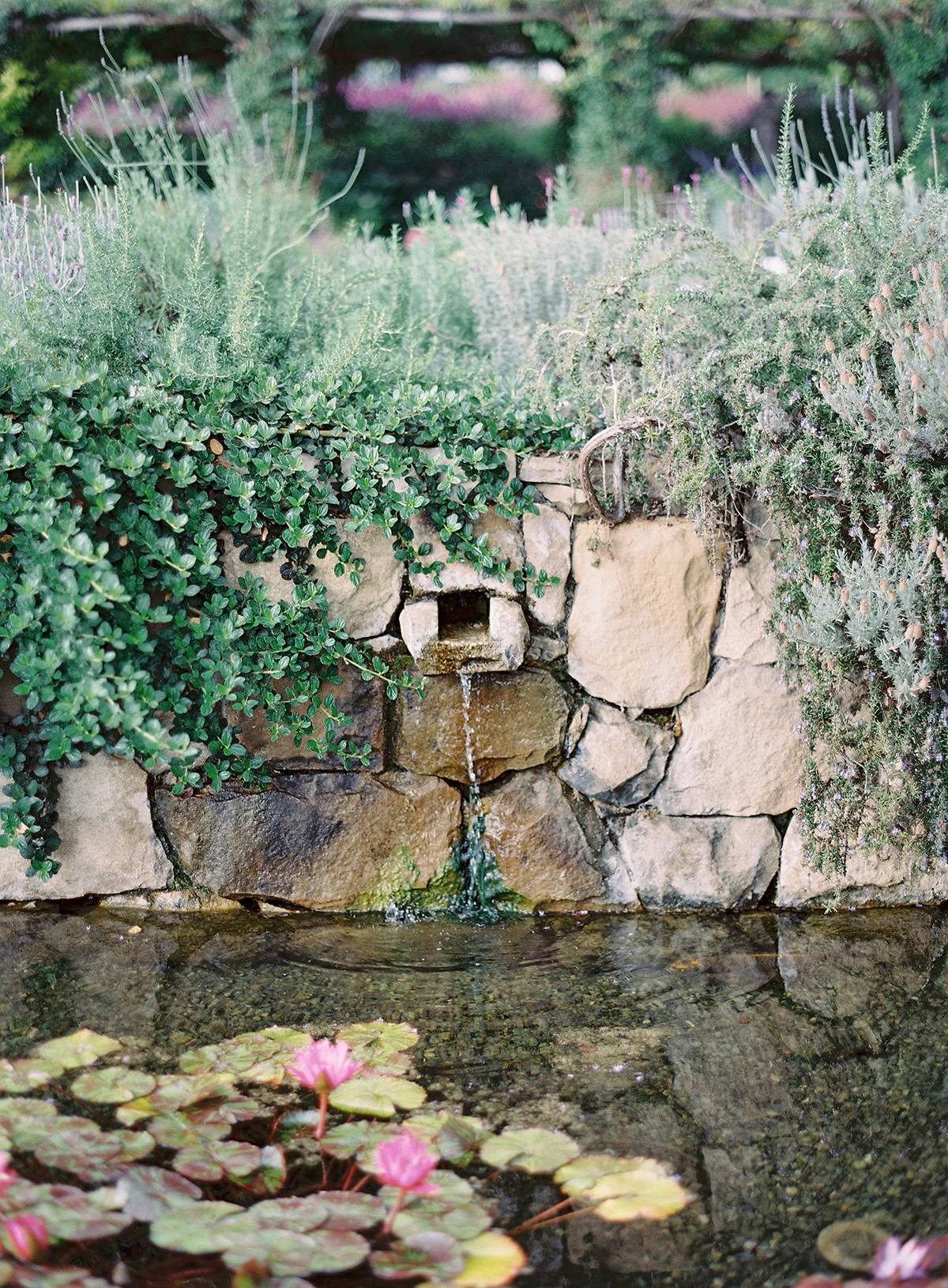 elegant santa barbara san ysidro ranch wedding the great romance photo