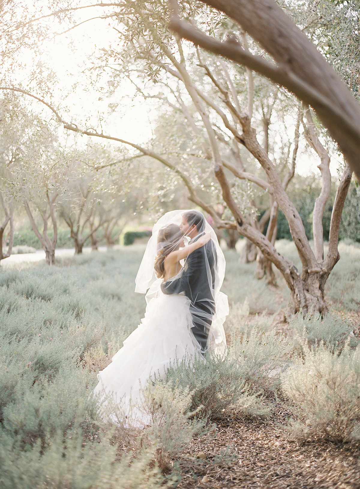 elegant santa barbara san ysidro ranch wedding the great romance photo