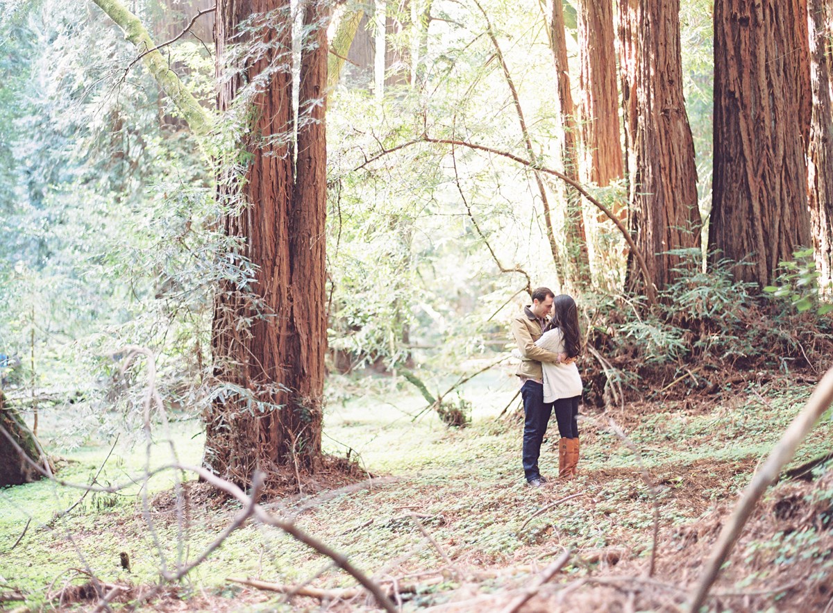 the great romance photo redwood forest marin headlands engagement