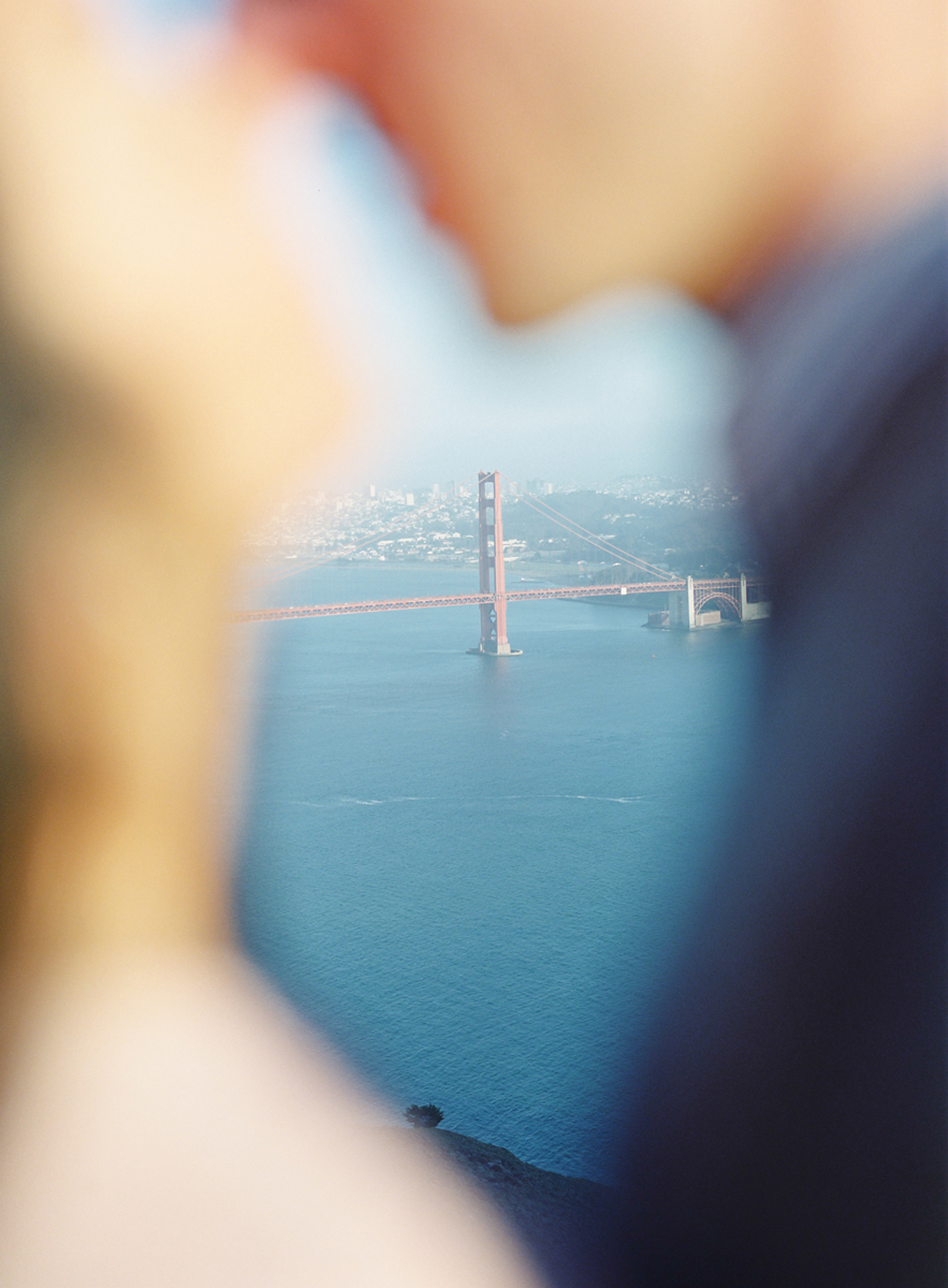 the great romance photo redwood forest marin headlands engagement