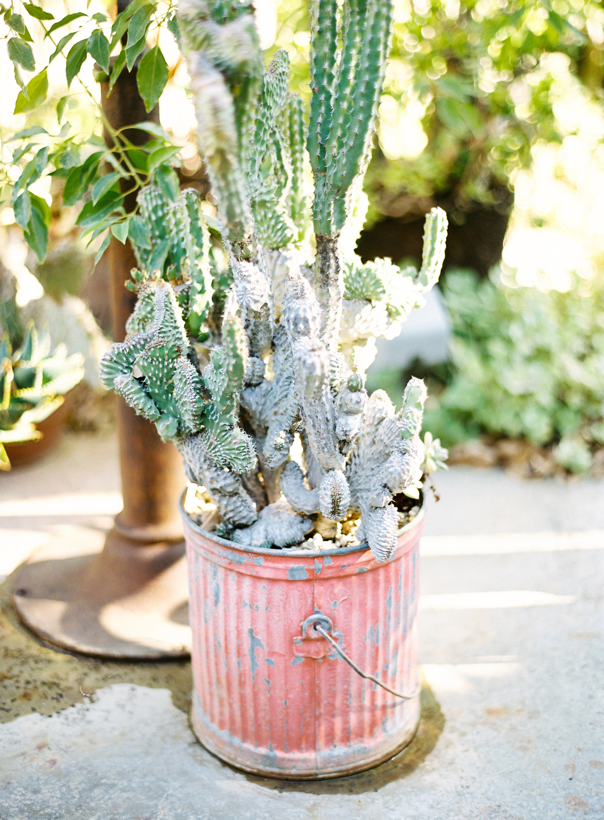 the great romance mountain mermaid wedding