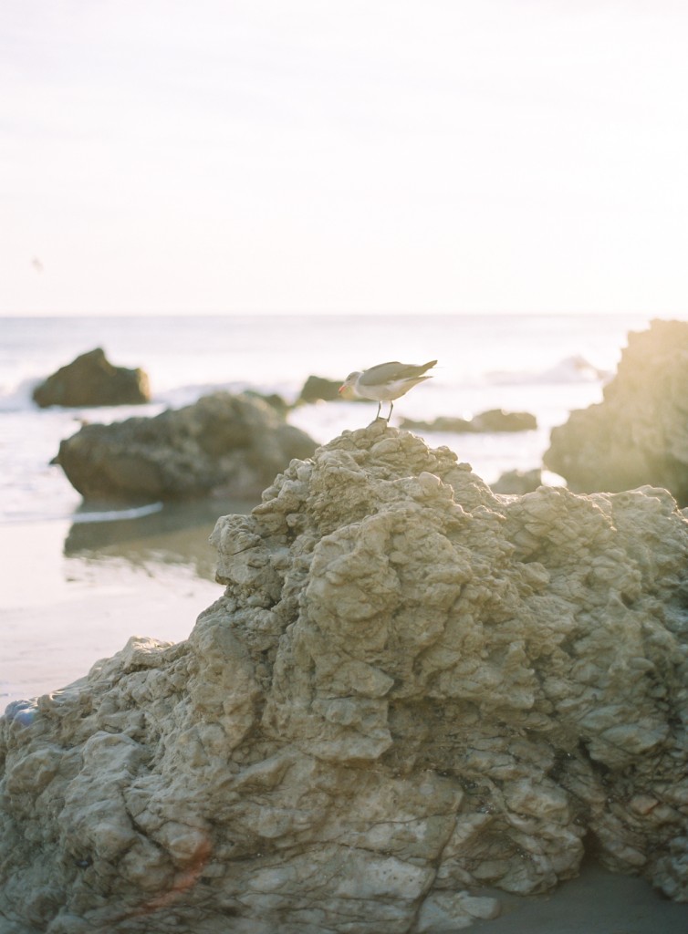 the great romance photo malibu beach engagement