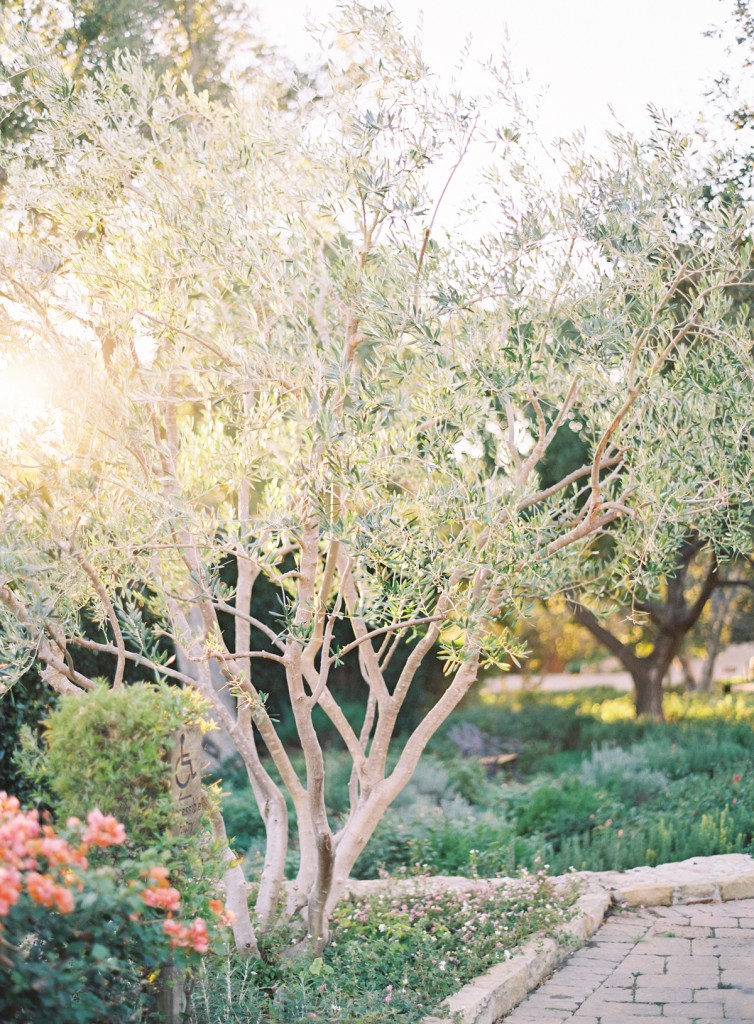 the great romance photo san ysidro ranch montecito wedding