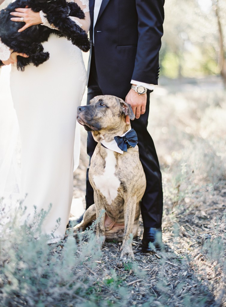 the great romance photo san ysidro ranch montecito wedding